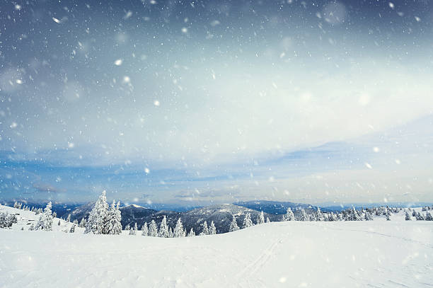 śnieżna storm - whiteout zdjęcia i obrazy z banku zdjęć