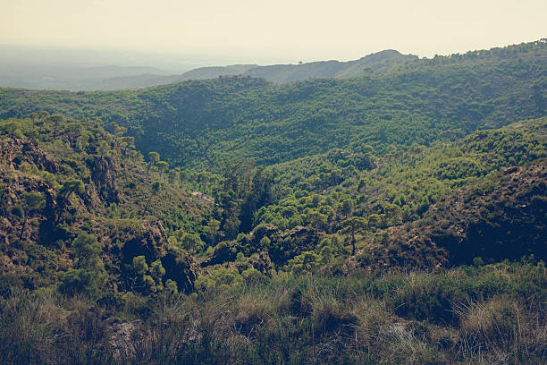 istock mountains in the national park serra calderona. 614333400