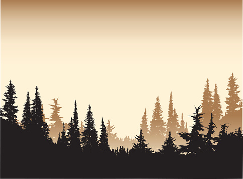 A vector silhouette illustration of a tree line of dense forest pine trees in a sepia tone.