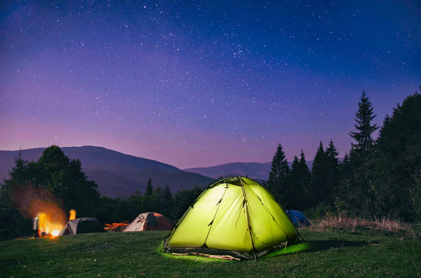 tenda verde iluminada sob estrelas na floresta noturna - tenda - fotografias e filmes do acervo