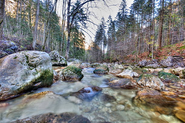 istock Rocks in the flowing river at the mountains 614338296