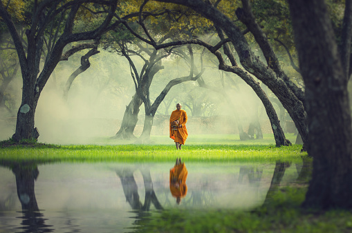 Caminata de monjes en la reflexión del bosque profundo con el lago, religión de Buda photo