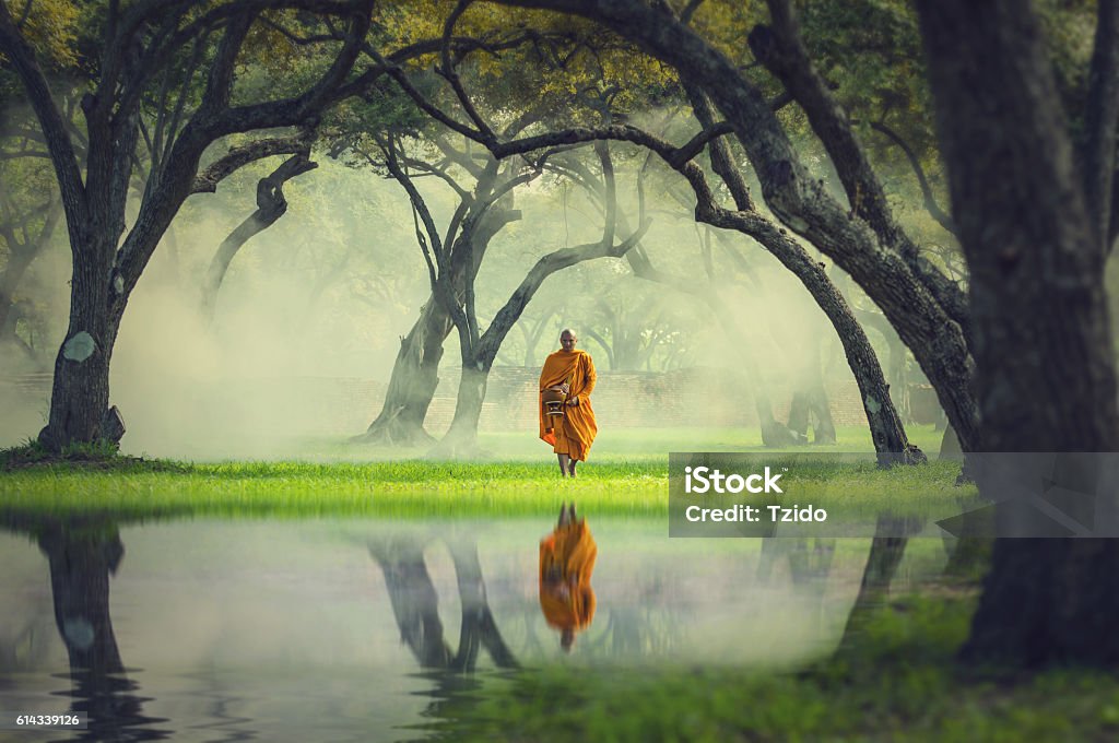 Caminata de monjes en la reflexión del bosque profundo con el lago, religión de Buda - Foto de stock de Monje libre de derechos