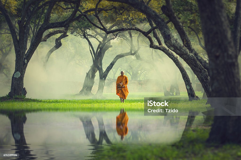 Monk hike in deep forest reflection with lake, Buddha Religion Monk hike in deep forest reflection with lake, Buddha Religion concept Monk - Religious Occupation Stock Photo