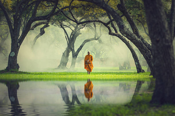 Monk hike in deep forest reflection with lake, Buddha Religion stock photo