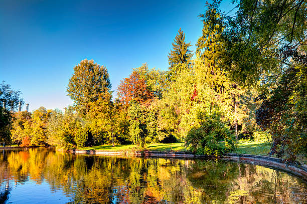istock Vivid Autumn Landscape In The Park 614339682