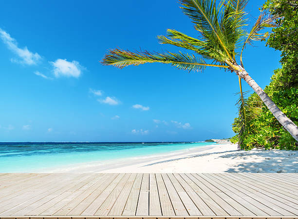 istock Wooden footbridge beside tropical beach 614341038