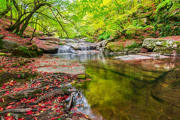 Suuctu Fall is beautiful National Park in the Bursa, Turkey.