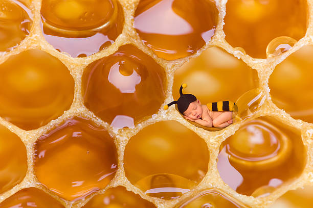 Newborn baby in bee outfit sleeping in a real honeycomb