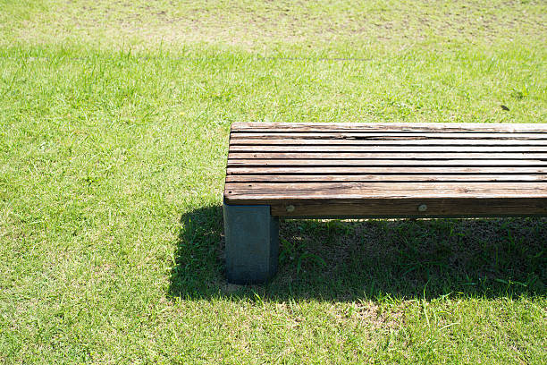 Lonely bench
