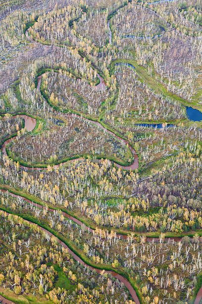 istock Top view perspective of autumn forest and river 614345336