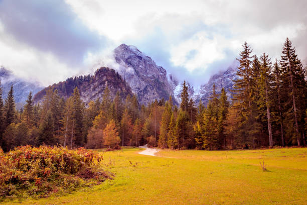 Fall in the italian alps in a misty day