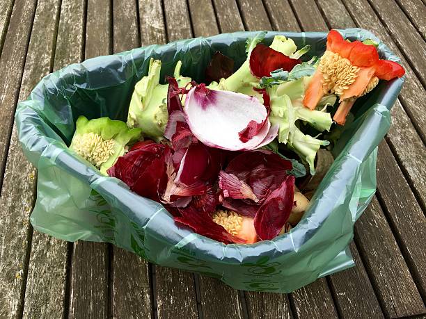 istock Fresh bio waste in a plastic bucket 614346602