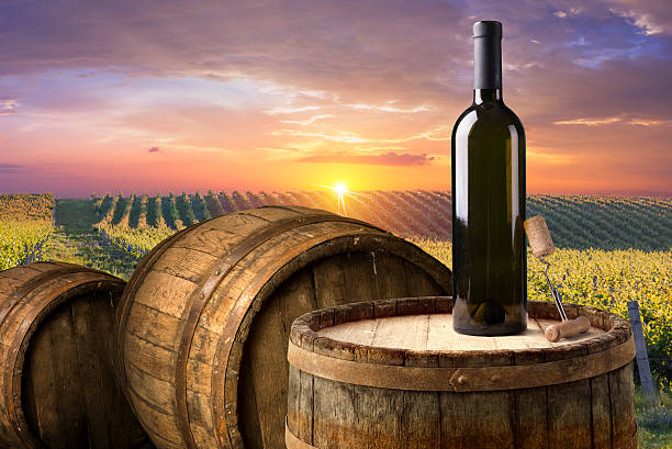 istock Wine and vineyard in Tuscany sunset. Italy 614348850
