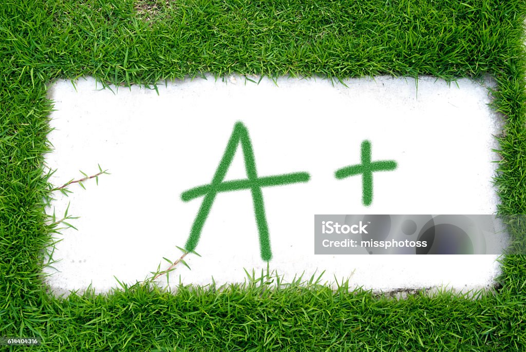 grade a plus in natural box  grade a plus in natural box Educational Exam Stock Photo