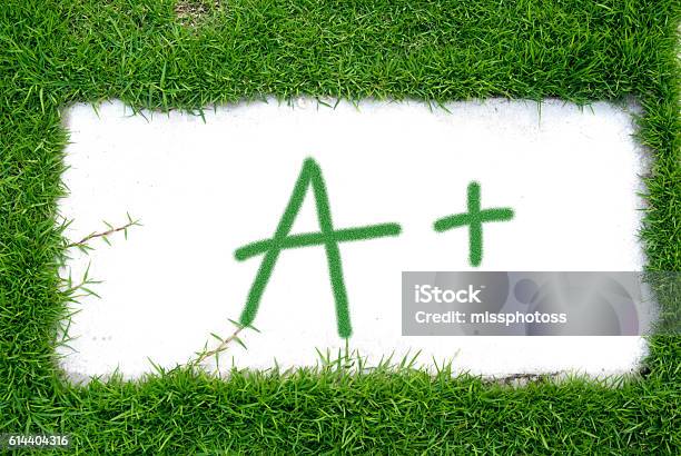 Grade A Plus In Natural Box Stock Photo - Download Image Now - Educational Exam, Analyzing, Art