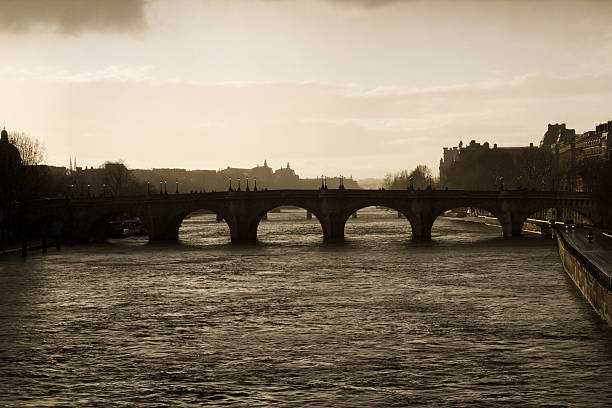 istock Pont Neuf in the rain 614405422