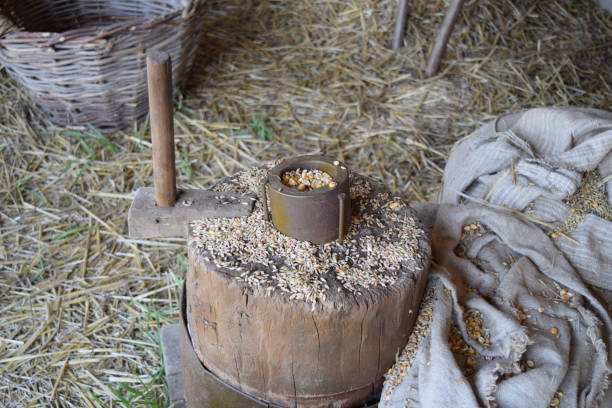 istock Grains of wheat and corn on a stump 614407318