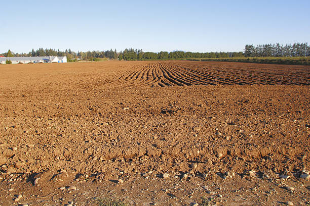 istock Cultivated Farm Land 614408506