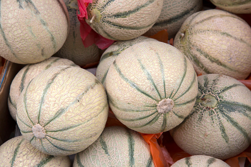 Gala Melon Fruit on Market Stall, France