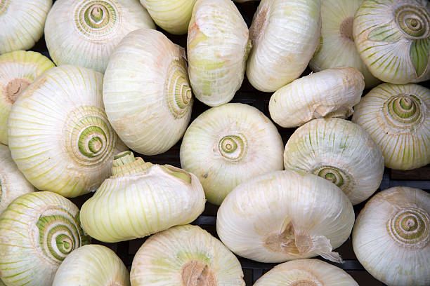 istock Italian Onions on Market Stall 614412150