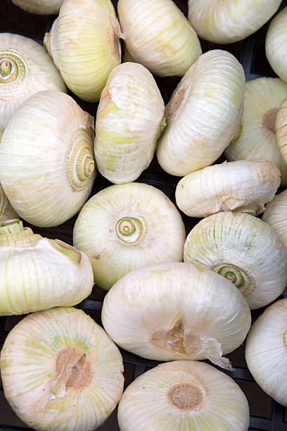 istock Italian Onions on Market Stall 614412202
