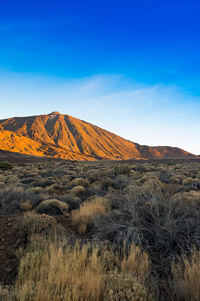 istock Desert valley in the mountains 614416992