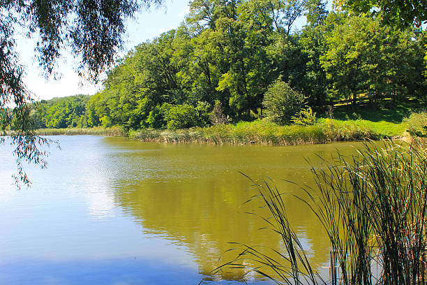 istock Beautiful lake on summer 614418698