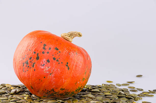 A professional DSLR close up photo of an orange and green patterned delicious mouth watering and fresh pumpkin. The hokkaido pumpkin is also called red kuri squash or uchiki kuri squash. This stilllife shot has been taken in a modern photo studio with professional equipment.