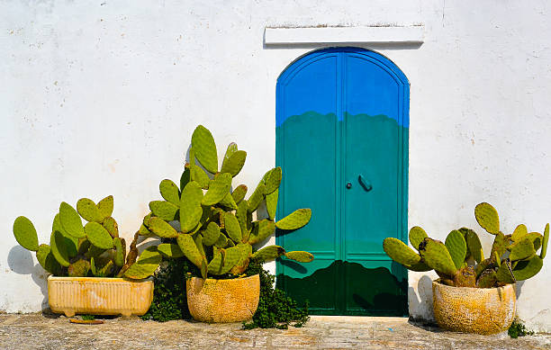 istock Manor farm door 614420244
