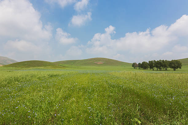 istock Blue sky and white clouds of the beautiful grasslands 614420886