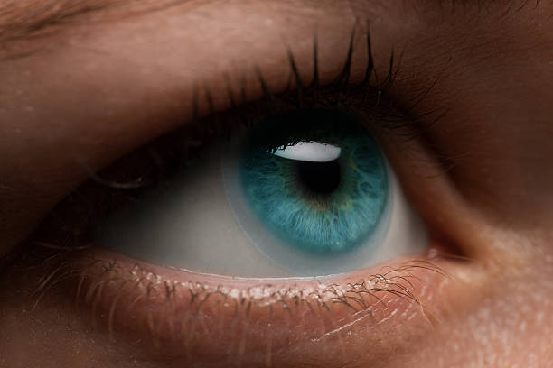 oeil de femme avec lentille de contact appliquant, macro. pupille dilatée bleue, - optics store photos et images de collection