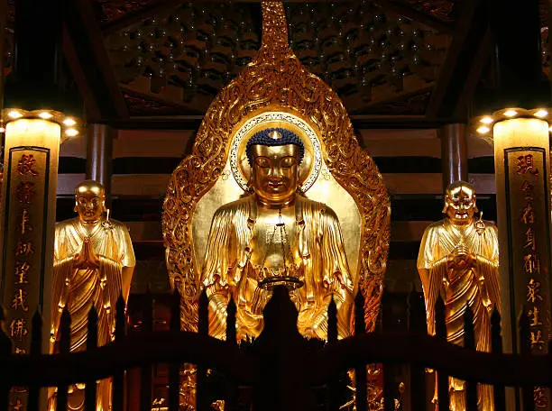 Golden Buddha in South Putuo (Nanputuo) Temple in Xiamen, Fujian, China