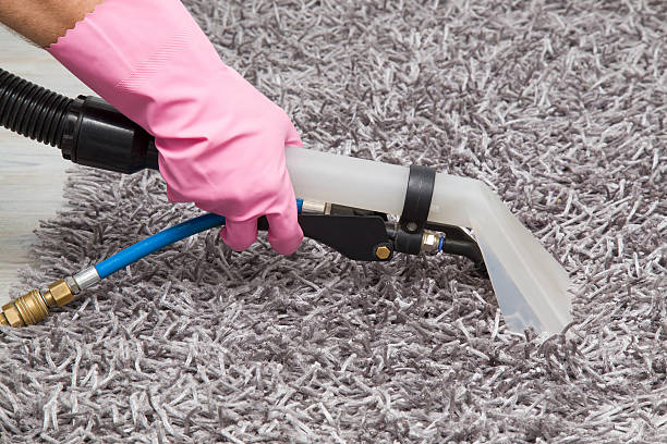 istock Carpets chemical cleaning with professionally extraction method. Early spring cleaning. 614424390
