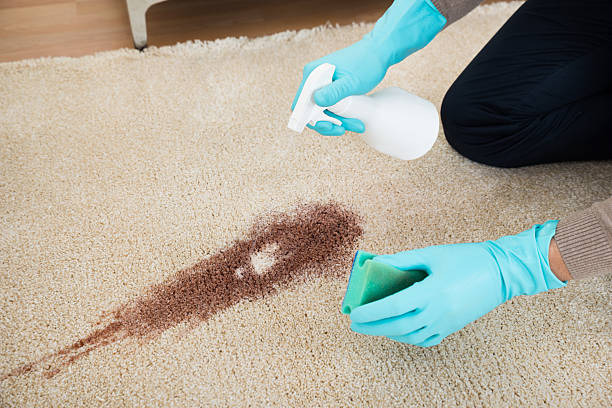 istock Man Spray Bottle And Sponge Cleaning Red Wine On Rug 614425830