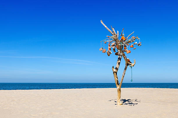 composition of the stones and dry tree on background of