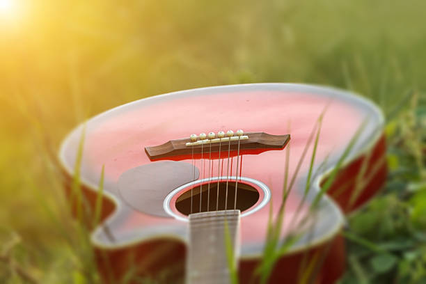 istock blurry and soft focus of guitar on grass at sunset 614426018