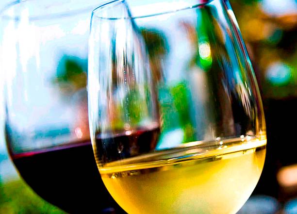 istock Red and white wine on nature 614429198