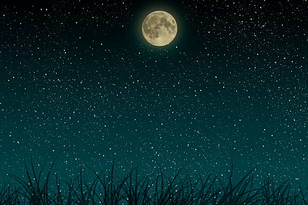istock Beautiful blue night starry sky with full moon and growing 614429464