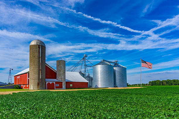 Midwest farm with spring  crop and red barn,Indiana Spring crop fills the foreground leading back to a red barn and rolling hill background with clouds above, Midwest USA,Indiana agricultural building photos stock pictures, royalty-free photos & images