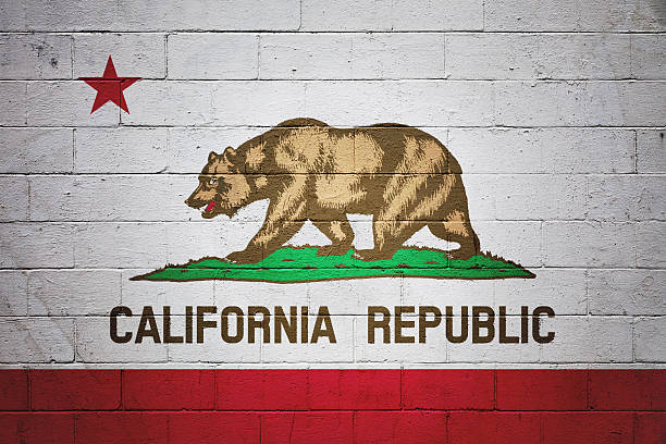 istock Flag of California painted on a wall 614431756