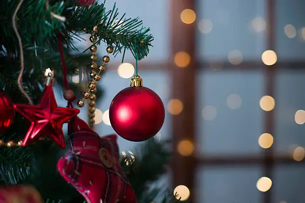 Shiny Christmas red ball hanging on pine branches with festive background