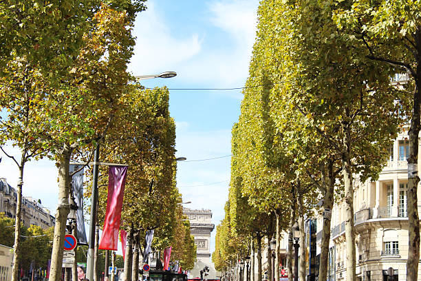 istock Nature and City 614433658