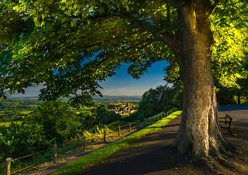 View over Gold Hill, Shaftesbury in the early evening late summer sunshine, through trees down to a church