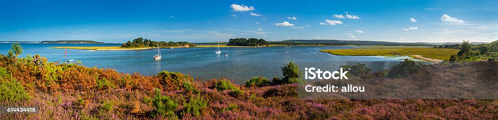 Panorama of Islands in Poole Harbour with Heather foreground Panorama of all five main Islands in Poole Harbour with purple heather growing on the cliff in the foreground at Shipstal Point Poole Stock Photo