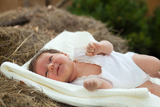 istock Baby lying on the hay 614434682