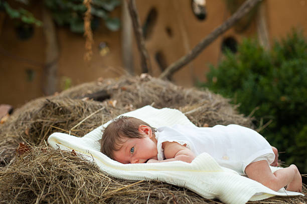 istock Baby lying on the hay 614434864