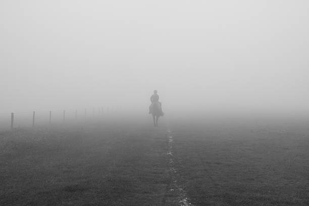 istock Horse Rider in the Mist. 614435232
