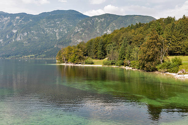 krajobraz jeziora bohinj i alpy julijskie, słowenia. - julian alps lake bohinj lake bohinj zdjęcia i obrazy z banku zdjęć