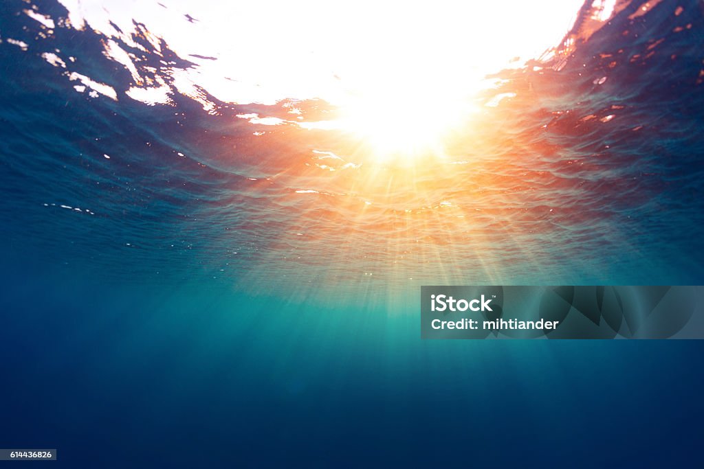 Sea with sun Underwater view of the sea surface Sea Stock Photo